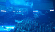 Dubai Aquarium & Underwater Zoo