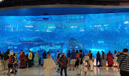 Dubai Aquarium & Underwater Zoo