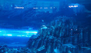 Dubai Aquarium & Underwater Zoo