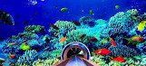 Dubai Aquarium & Underwater Zoo