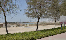 Ras Al Khor Wildlife Sanctuary