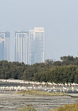 Ras Al Khor Wildlife Sanctuary