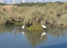 Ras Al Khor Wildlife Sanctuary