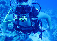 Centro de Buceo Nemo