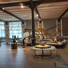 Museo di Scienze Naturali