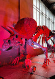 Museum of Natural Sciences