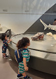 Museum of Natural Sciences