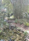 USF Botanical Gardens