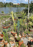 USF Botanical Gardens