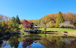 Brookside Gardens