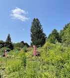 Giardini di Brookside