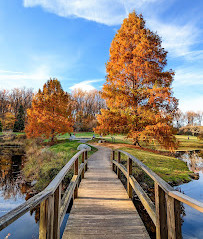 Labirinto dei giardini di Brookside