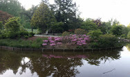 Labirinto dei giardini di Brookside