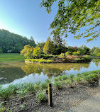 Labirinto dei giardini di Brookside