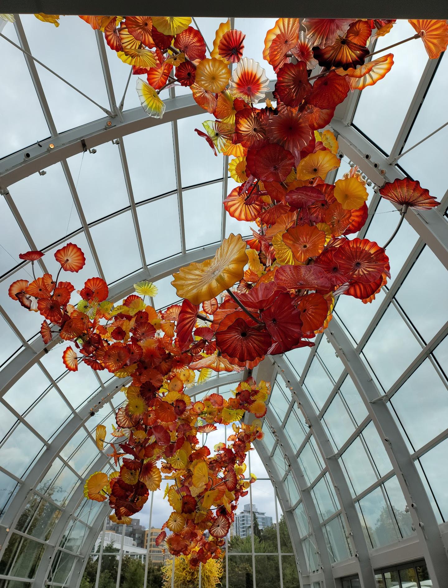 Jardin et verre de Chihuly