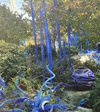 Chihuly Garten und Glas