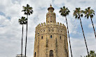 Torre del Oro