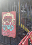 Museum of the Weird