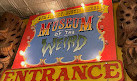 Museum of the Weird