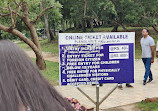 Konark Sun Temple