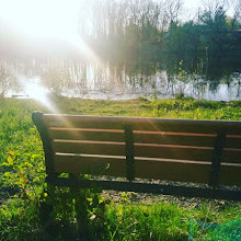 Thurston Nature Center