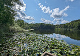 Saginaw Forest Trailhead