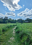 Saginaw Forest Trailhead