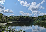 Saginaw Forest Trailhead