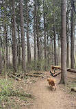 Saginaw Forest Trailhead