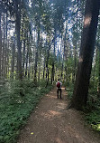 Saginaw Forest Trailhead