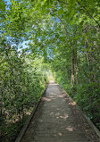 Saginaw Forest Trailhead