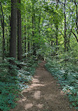 Saginaw Forest Trailhead