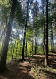 Saginaw Forest Trailhead