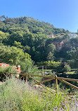 Sintra National Palace