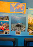 Birch Aquarium at Scripps Institution of Oceanography