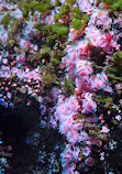 Birch Aquarium at Scripps Institution of Oceanography