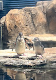 Birch Aquarium at Scripps Institution of Oceanography