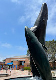 Birch Aquarium at Scripps Institution of Oceanography