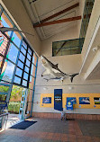 Birch Aquarium at Scripps Institution of Oceanography