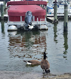 Waterfront Park