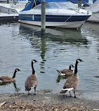 Waterfront Park