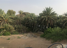 سوق القطره