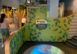 Port Discovery Children's Museum