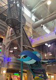 Port Discovery Children's Museum