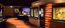 شبكة متحف أوتاوا | شبكة متحف أوتاوا