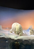 Canadian Museum of Nature