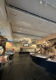 Canadian Museum of Nature