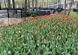 Lakeshore East Park