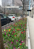 Lakeshore East Park