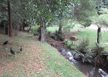 Lakeside Railway Station - Puffing Billy Railway